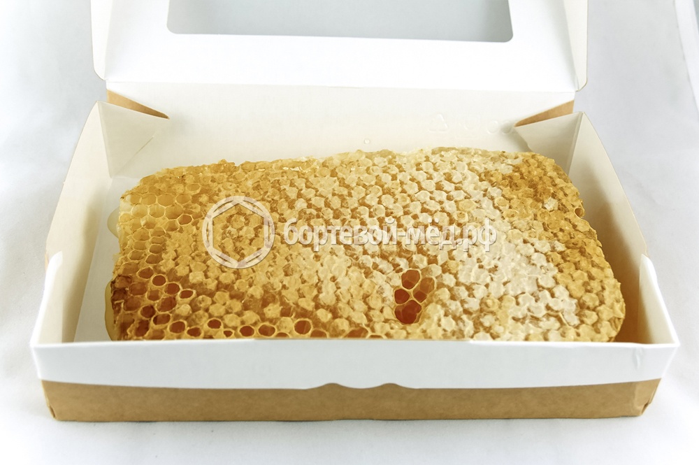 Как выглядит бортевой мёд Как выглядит бортевой мёд